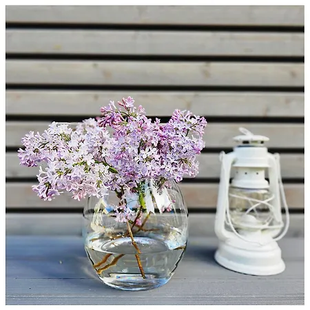 アパート Elbquartier 'fabrik61'